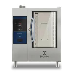 Electrolux 219962 SkyLine Pro Natural Gas Boilerless Combi Oven 101, 120V